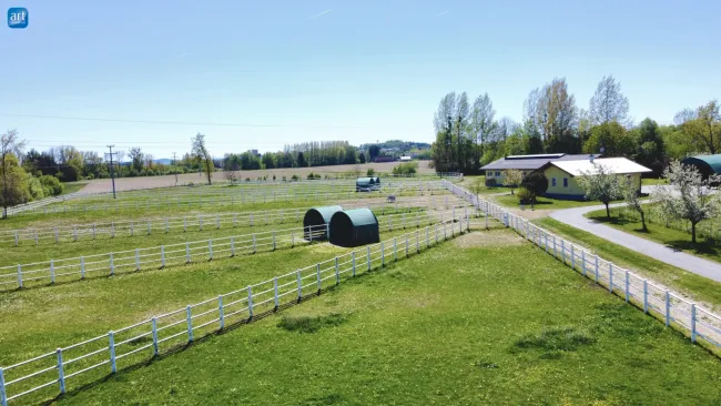 Neuwertiges Pferdegestüt, eigene Zufahrt und Trainingsbahn, ab sofort verfügbar! - Bild