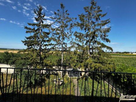 Zweifamilienhaus mit Garten in Absdorf – vielseitig nutzbar für Familien oder mehrere Generationen