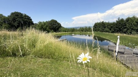 Loftwohnung mit Garten, Terrasse und Schwimmteich : naturnah und außergewöhnlich.