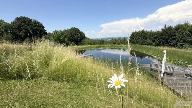 Loftwohnung mit Garten, Terrasse und Schwimmteich : naturnah und außergewöhnlich. - Titelbild