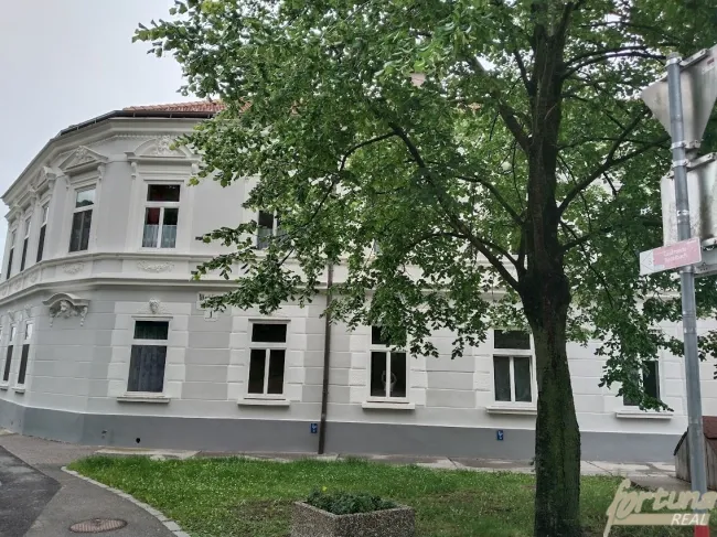 Attraktives Zinshaus mit 5 vermieteten Wohnungen und Ausbaupotenzial im Dachgeschoss - Bild