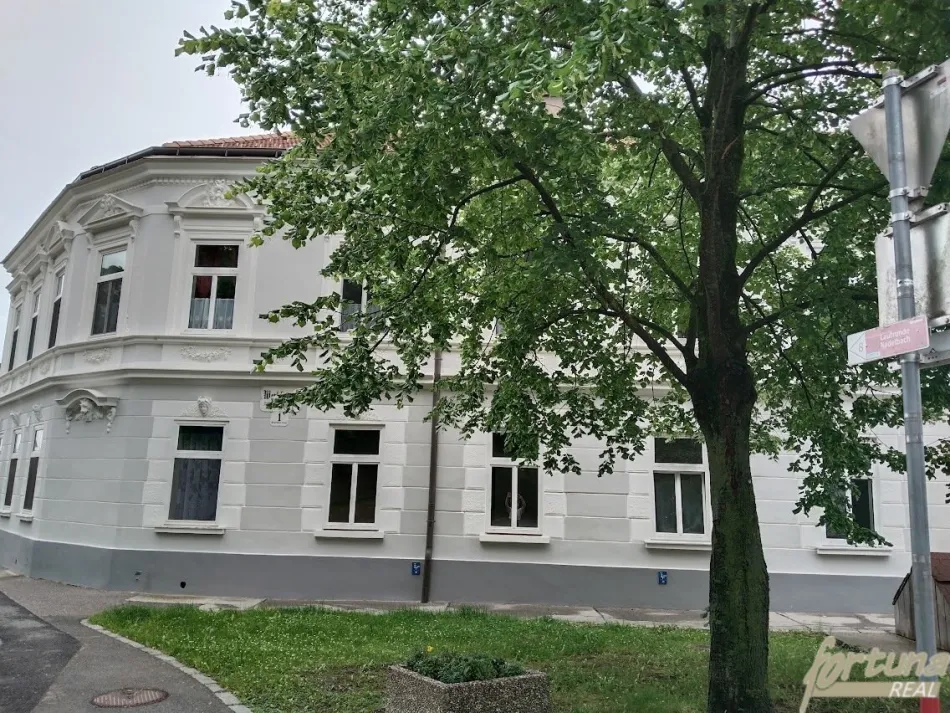 Attraktives Zinshaus mit 5 vermieteten Wohnungen und Ausbaupotenzial im Dachgeschoss - Bild