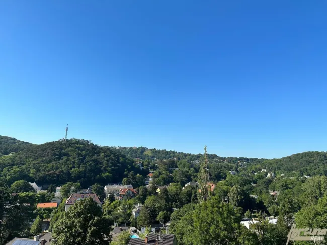 Ausblick