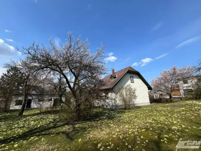 Großes Baugrundstück (2.076 m²) mit Fernblick – Bestand zum Abbruch – ruhige Lage Mattersburg - Bild