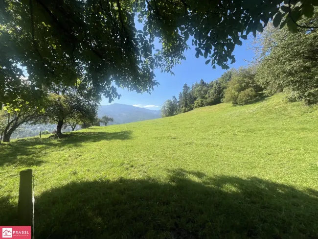 Bauträger & Entwickler aufgepasst! Traumgrundstück am Südhang mit Panoramablick – 2,4 ha Bau- & Bauerwartungsland in Proleb/Leoben - Bild