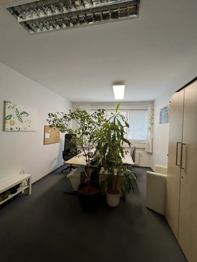 Kompakte Büroräumlichkeit in zentraler und verkehrsgünstiger Lage - Titelbild