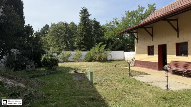 Wohntraum im Weinviertel – Haus mit großem Gestaltungspotenzial - Bild