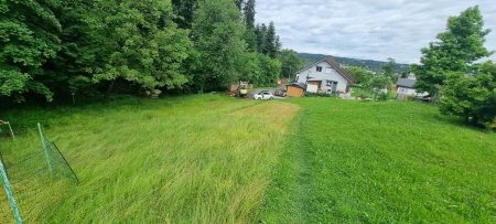 Idyllisches Grundstück in Hohenweiler! Der ideale Platz für dein Traumhaus!