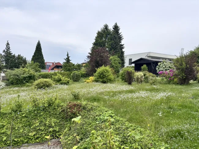 Garten - Grundstück