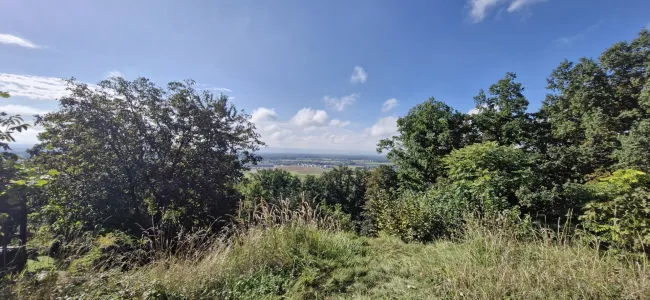 Wohnen mit Weitblick – Sechterberg 85, Feldkirchen an der Donau - Titelbild