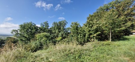 Wohnen mit Weitblick – Sechterberg 85, Feldkirchen an der Donau