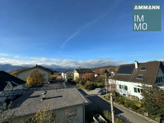 Ausblick