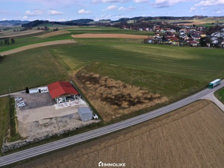 Betriebsbaugrundstück mit 3.044 m² in Niederthalheim – Bauland Betriebsgebiet | Bauplatzbewilligung vorhanden