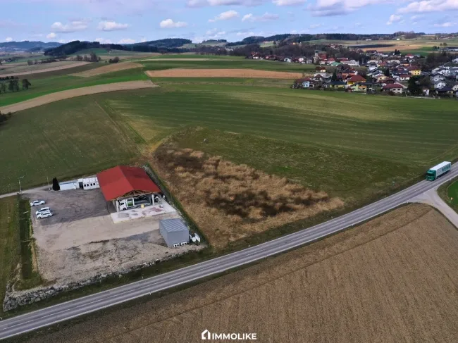 Betriebsbaugrundstück mit 3.044 m² in Niederthalheim – Bauland Betriebsgebiet | Bauplatzbewilligung vorhanden - Bild