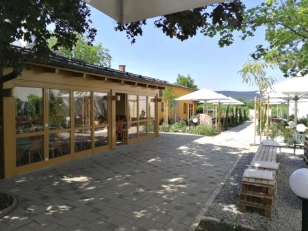 SUPERPREIS IM WEINORT SOOSS ! GRUNDSTÜCK mit BESTANDSGEBÄUDEN für GEWERBLICHE oder PRIVATNUTZUNG