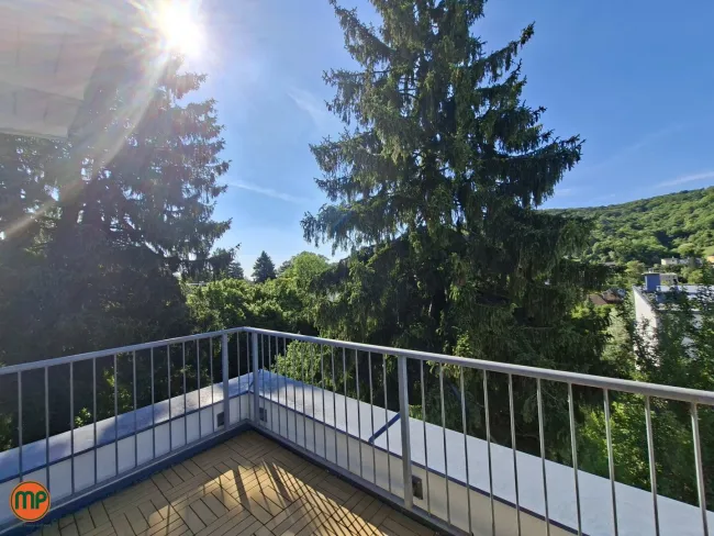 Klosterneuburg - Exklusives Zuhause am Hang - Bild
