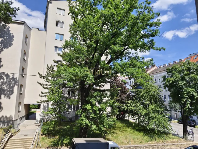 Wohnzimmer Aussicht