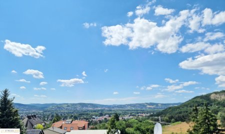 5 Minuten vor Wien! Gepflegtes Familienparadies in absoluter Grünruhelage - Traumblick inklusive! RESERVIERT!