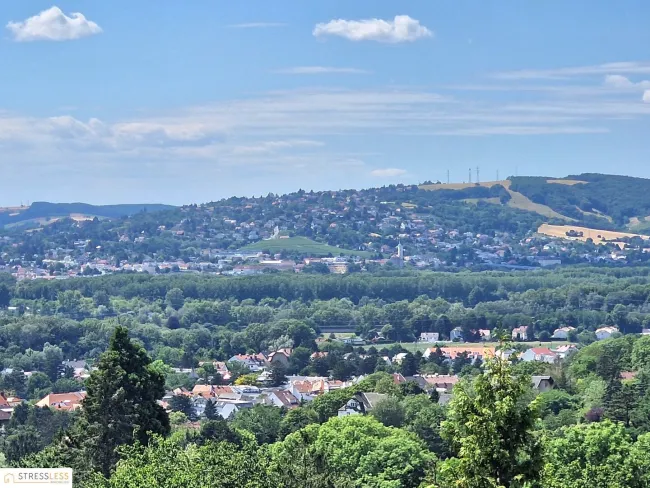 5 Minuten vor Wien! Gepflegtes Familienparadies in absoluter Grünruhelage - Traumblick inklusive! RESERVIERT! - Titelbild