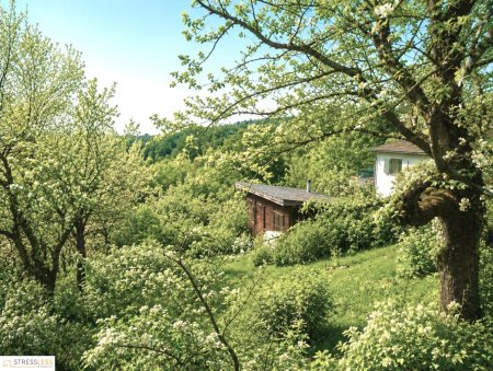 Sie suchen das Besondere - nur 5 Minuten von Wien entfernt? Absolute Wald-Ruhelage mit unverbaubarer Aussicht und Blick in die umliegenden Wälder!