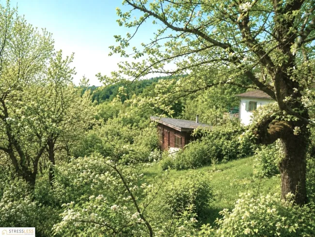 Sie suchen das Besondere - nur 5 Minuten von Wien entfernt? Absolute Wald-Ruhelage mit unverbaubarer Aussicht und Blick in die umliegenden Wälder! - Bild