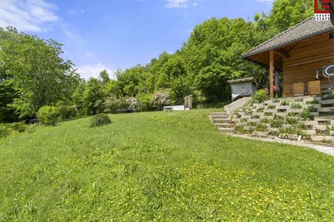 Blick in den Garten