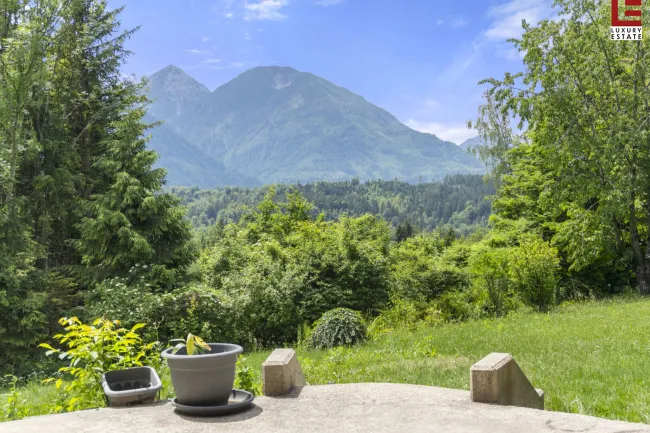 Bergblick Hochobir