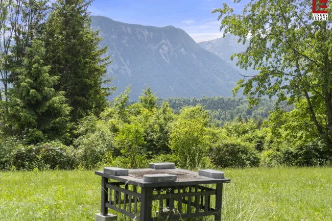 Ausblick im Garten