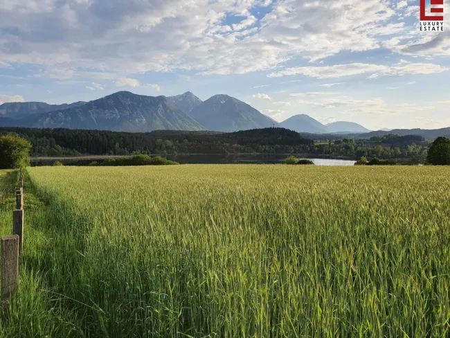 Blick zum Turnersee Richtung Süden