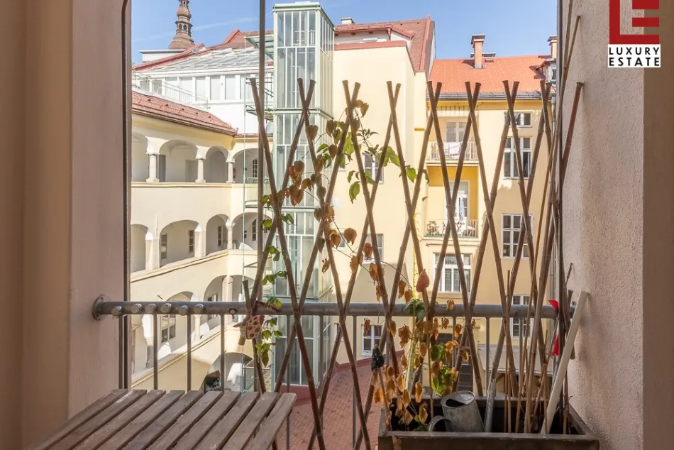 NEUER PREIS: Sonnige, moderne Gross-Innenstadt-Altbauwohnung - Bild