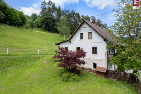 Südkärnten: Historisches, sanierungswürdiges Bauernhaus mit Stall/Tenne + Garten