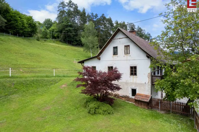 Südkärnten: Historisches, sanierungswürdiges Bauernhaus mit Stall/Tenne + Garten - Bild