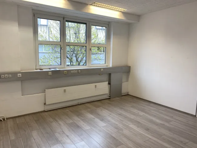 KI Visualisierung