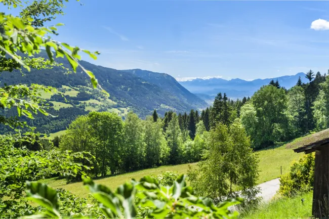 Exklusives Apartmenthaus mit fünf Suiten und über 5 ha Naturfläche - Bild