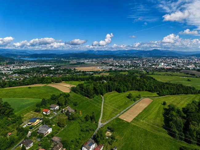 Glücksplatz im Grünen mit Stadtnähe - Bild