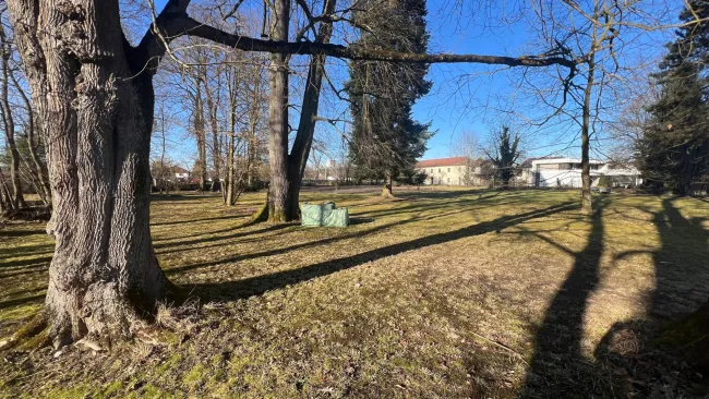 Sonniges Baugrundstück – zentral gelegen und bestens angebunden - Bild