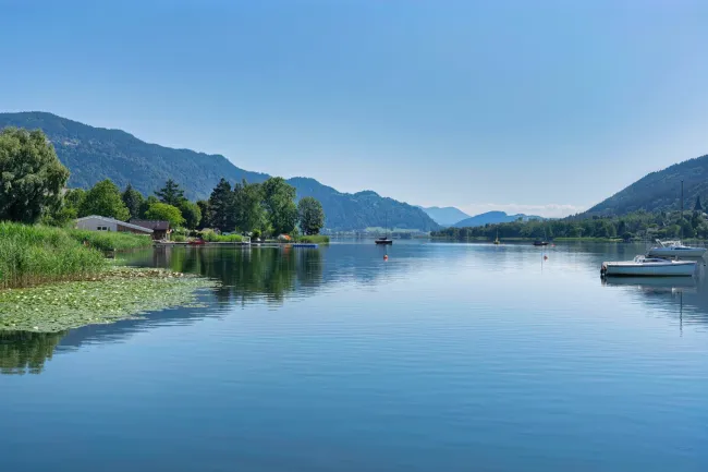 Luxuswohnungen mit Seezugang und weitläufiger Liegewiese am Ossiachersee - Wohnung 1 - Bild