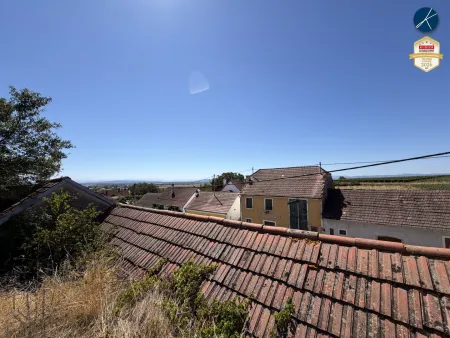 Ausblick aus dem Weingarten