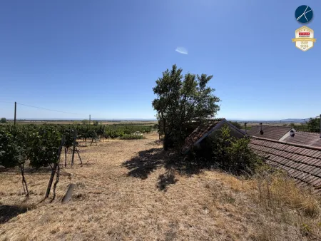 Ausblick aus dem Weingarten