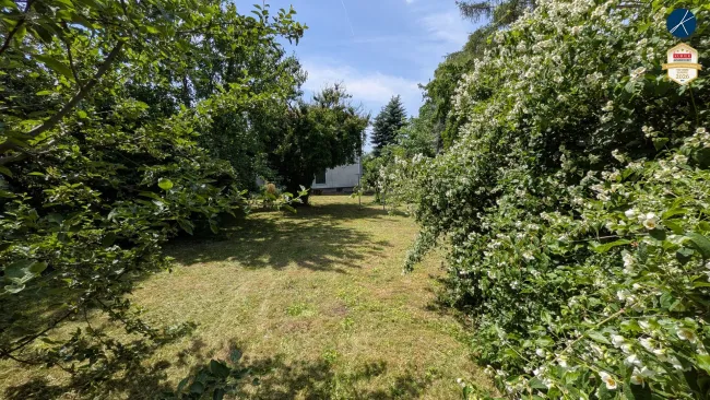 ideale Lage in Hollabrunn: 5 Zimmer, 111m², großer Garten, Balkon, Terrasse und Garage - Bild