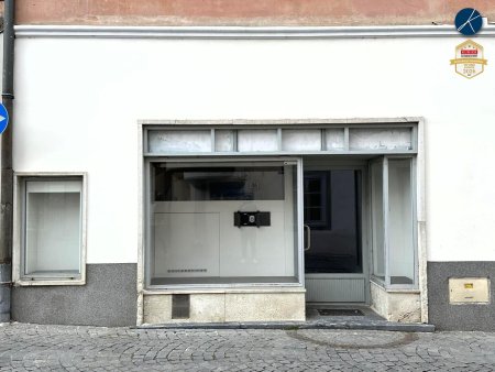 Geschäftslokal Untere Landstraße