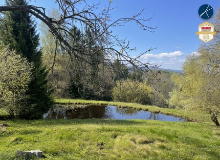 Eigener Teich