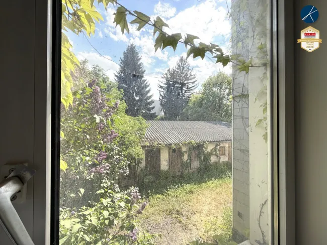 Ausblick ins Grüne