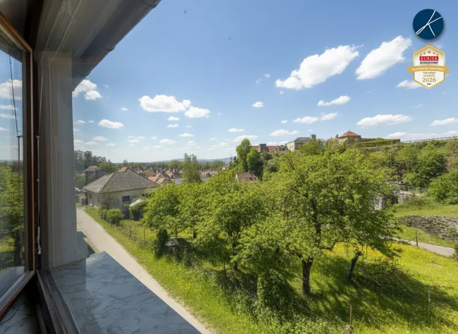 Ausblick Wohnzimmer