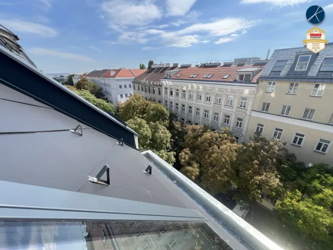 'Über den Baumwipfeln'