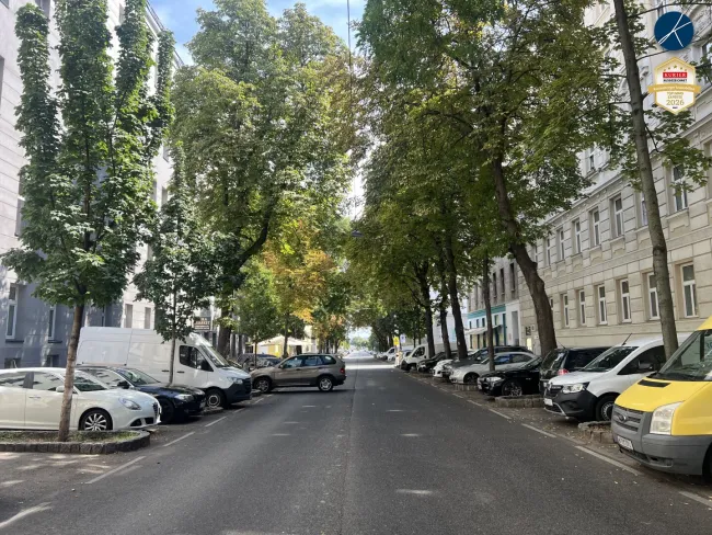 Alleestraße mit Altbaumbestand