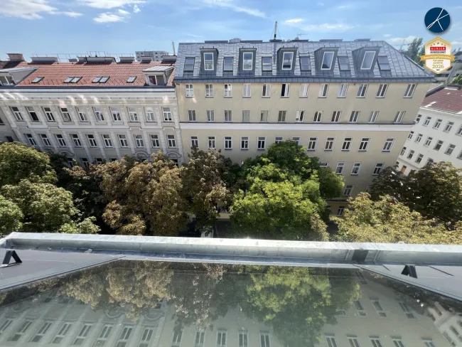 'Über den Baumwipfeln'