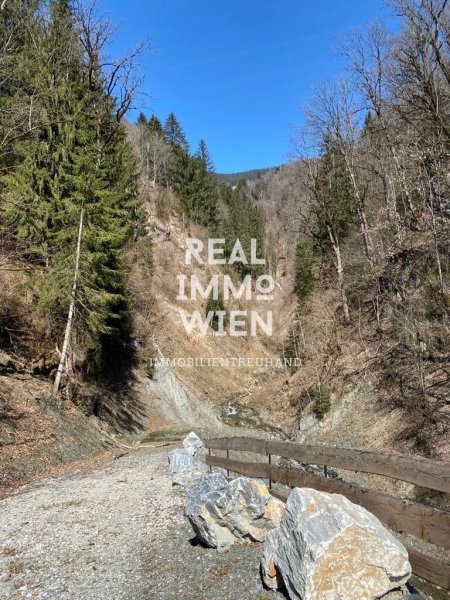 Waldparadies in Taxenbach – 13.141 m² Natur pur mit vielzeitigen Potential