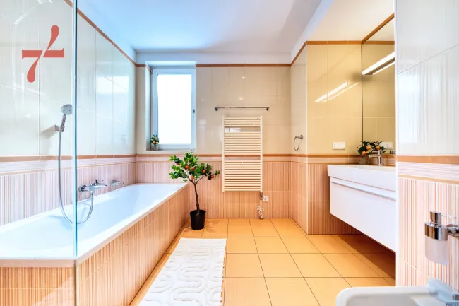 Bathroom -  level 2