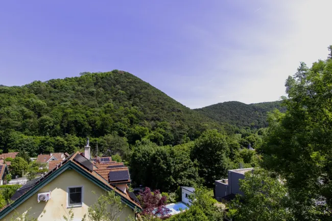 Ruhelage beim Wienerwald - Moderne Villa mit eigenem Aufzug und Pool - Titelbild